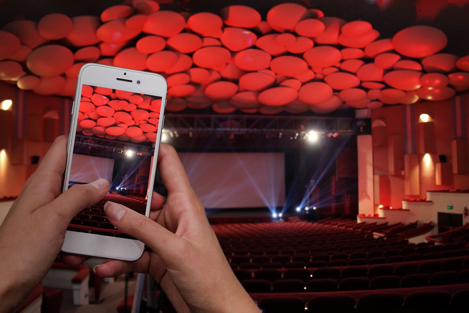 Festival Internacional de Cine de Mar del Plata: comienzan las proyecciones de Camino al Festival 1 Foto Auditorium