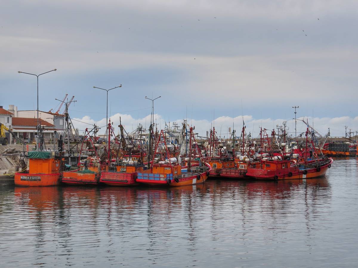 Lanchas amarillas en peligro: buscan su preservación en Mar del Plata