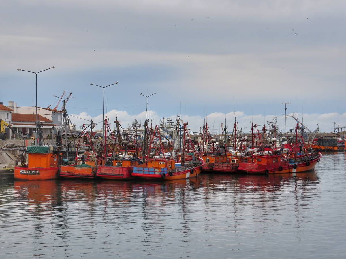 «A desaburrir el Invierno» comienza en el puerto de Mar del Plata, con entrada gratis