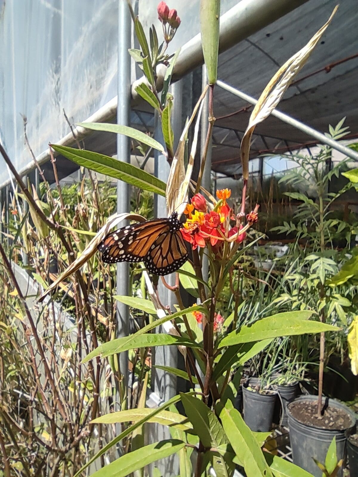 IMG 20220311 143048 rotated