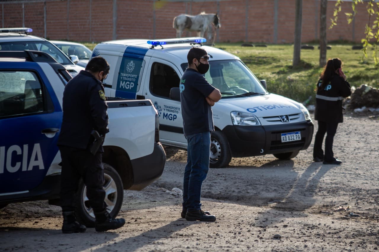El Municipio intervino en más de 100 casos por caballos sueltos en la vía pública 1 IMG 20220413 WA0056