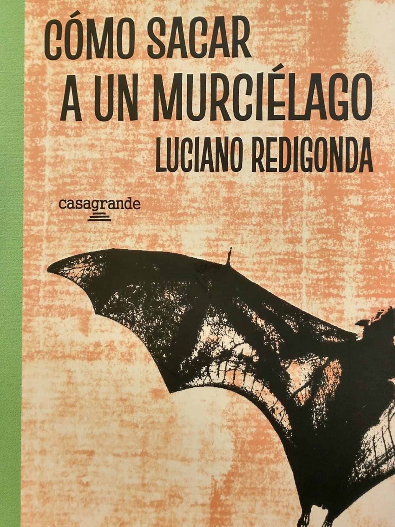 Novedad literaria: "Cómo sacar a un murciélago" del escritor y guionista Luciano Redigonda 2 como