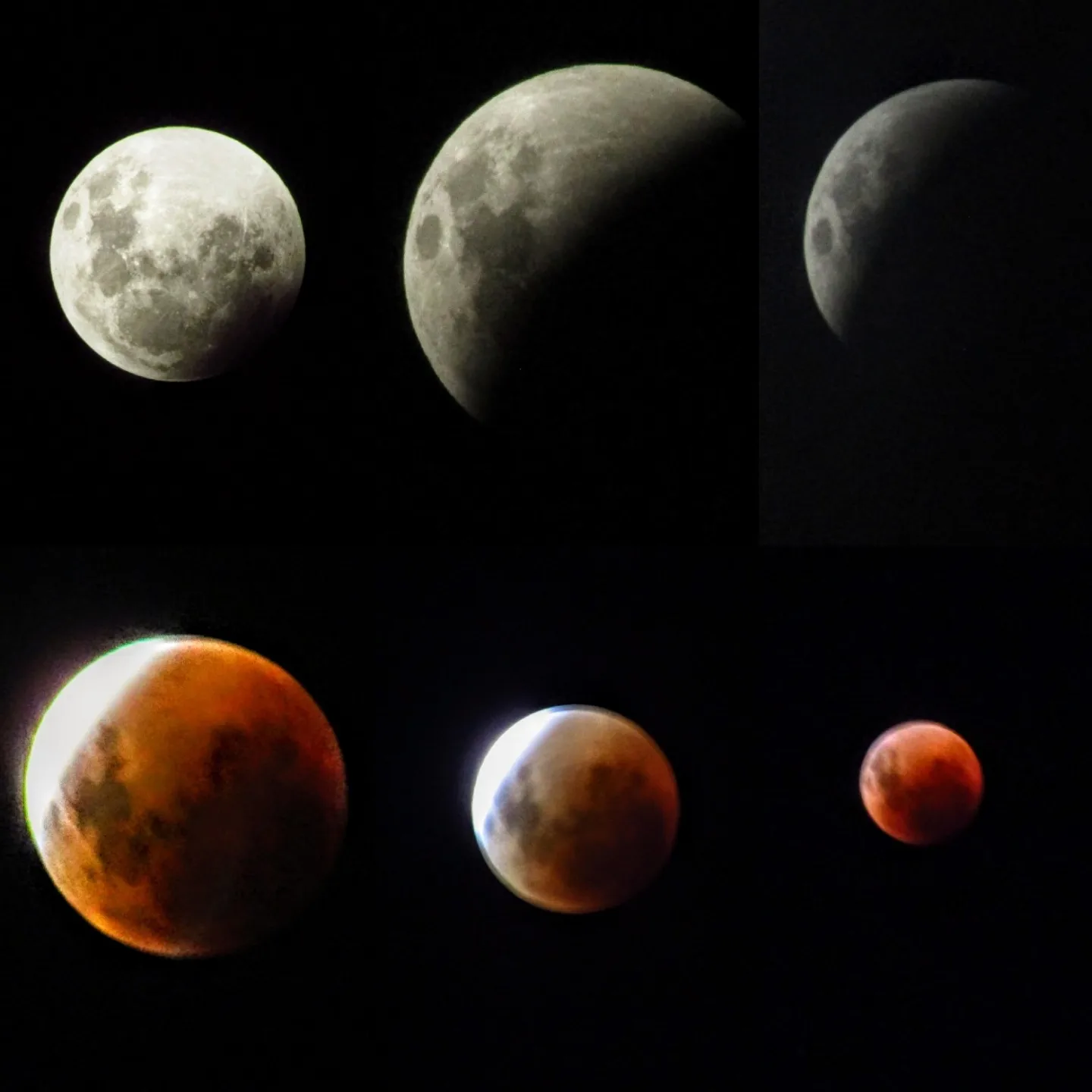 Así se vivió el eclipse de luna en Mar del Plata 1 IMG 20220516 011325 632