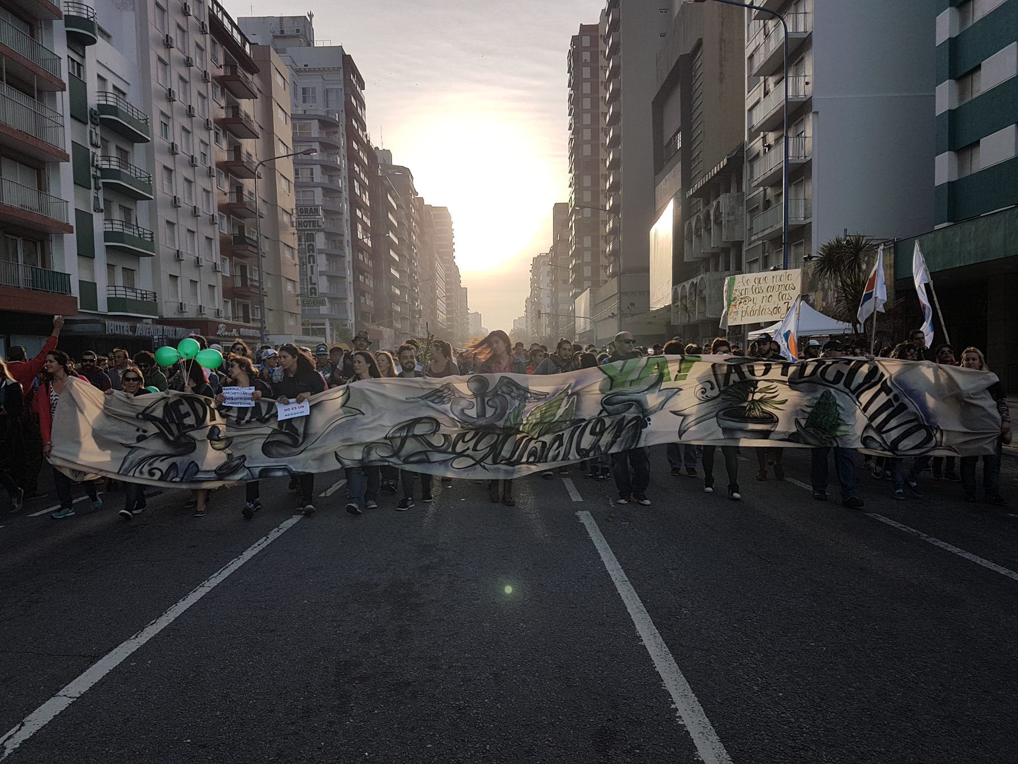 Marplatenses se suman a la Marcha Mundial de la Marihuana 2022 1 agrupacion