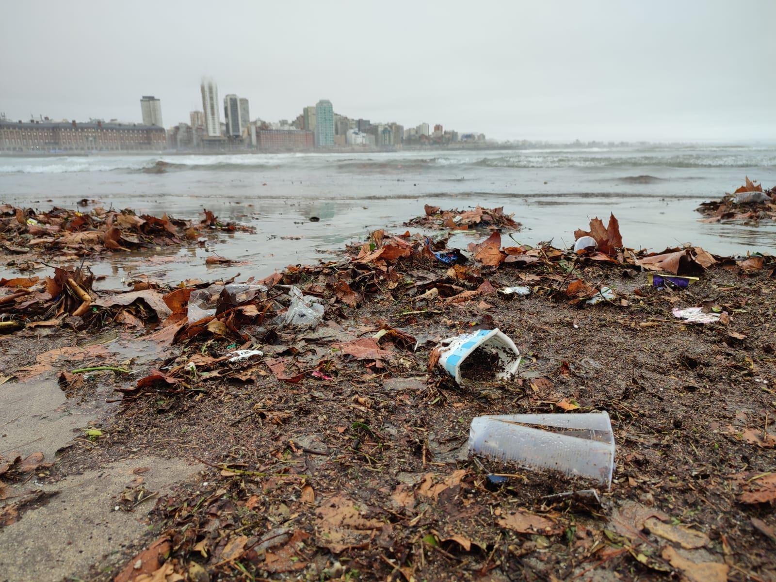 Mar del Plata tras la lluvia: los plásticos terminan en el mar 1 IMG 20220726 WA0005