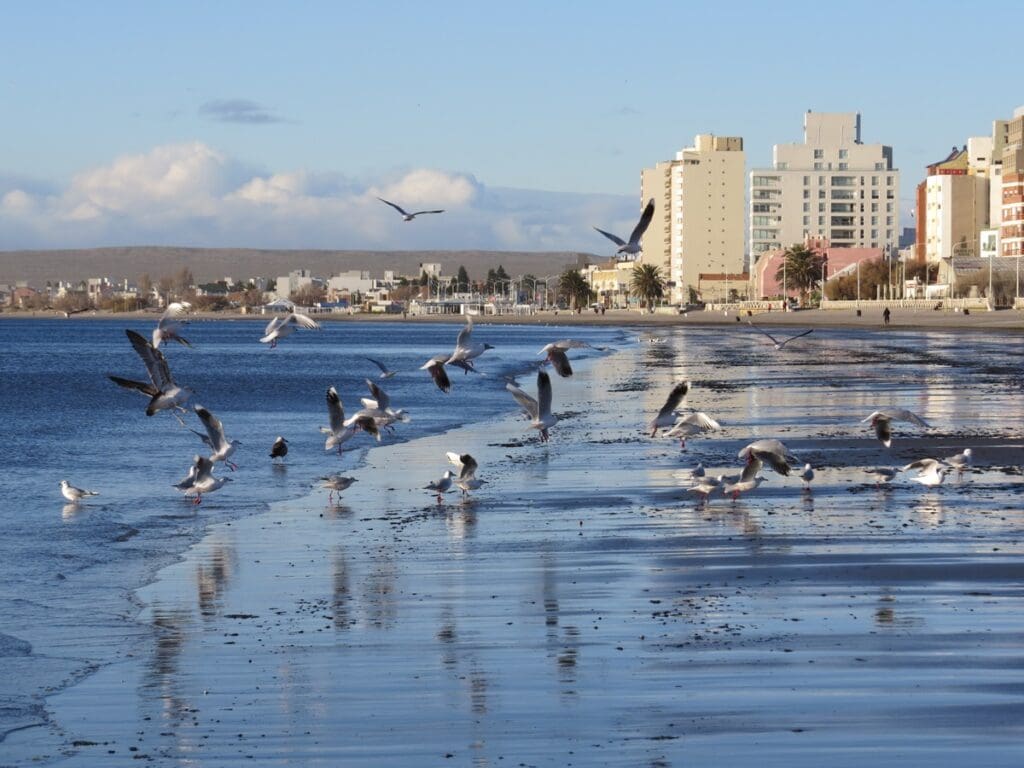 MADRYN