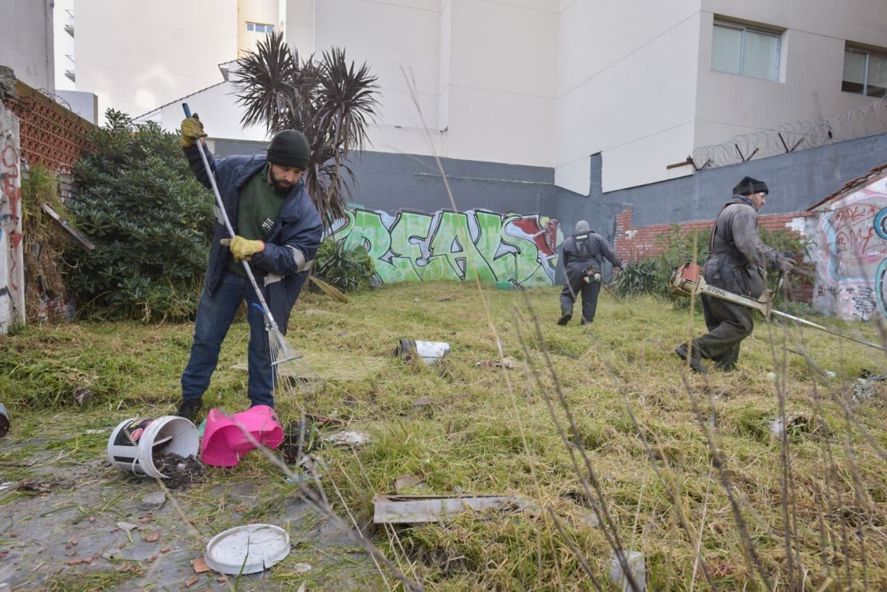 Propietarios descuidados: la Municipalidad limpia y después les pasa la cuenta 1 vecinos desciudados
