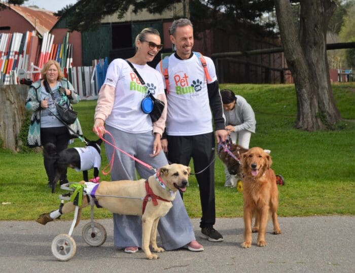 Pet Run reunió a personalidades y sus mascotas en en un anticipo realizado en Camet 1 Avant1 e1663668529942
