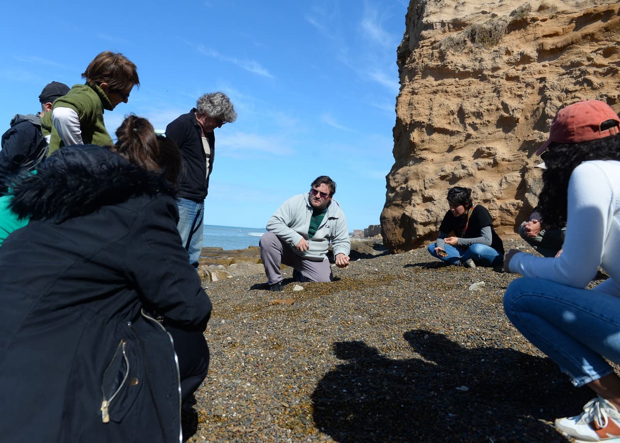 Fotos MGP Nuevo hallazgo para el patrimonio paleontologico de Mar del Plata