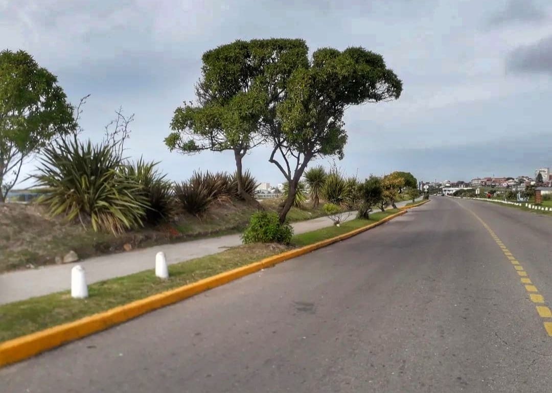 Maratón de 5K y 10K en Punta Mogotes por el 63° Aniversario de Apand 1 1666888395496 01