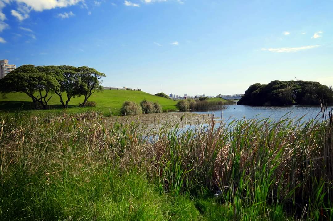 Desarrollan un proyecto para monitorear la calidad del agua de las Lagunas de Punta Mogotes 1 mogotes