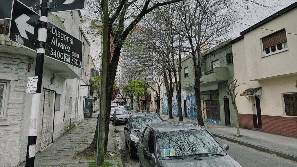 En pleno centro: conocé la historia de una de las calles más cortas y angostas de Mar del Plata 2 alvarez