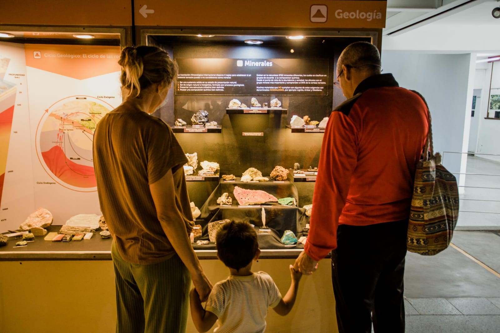 Conciertos y actividades culturales: un fin de semana vibrante en Mar del Plata 1 Foto MGP Museo Ciencias Naturales