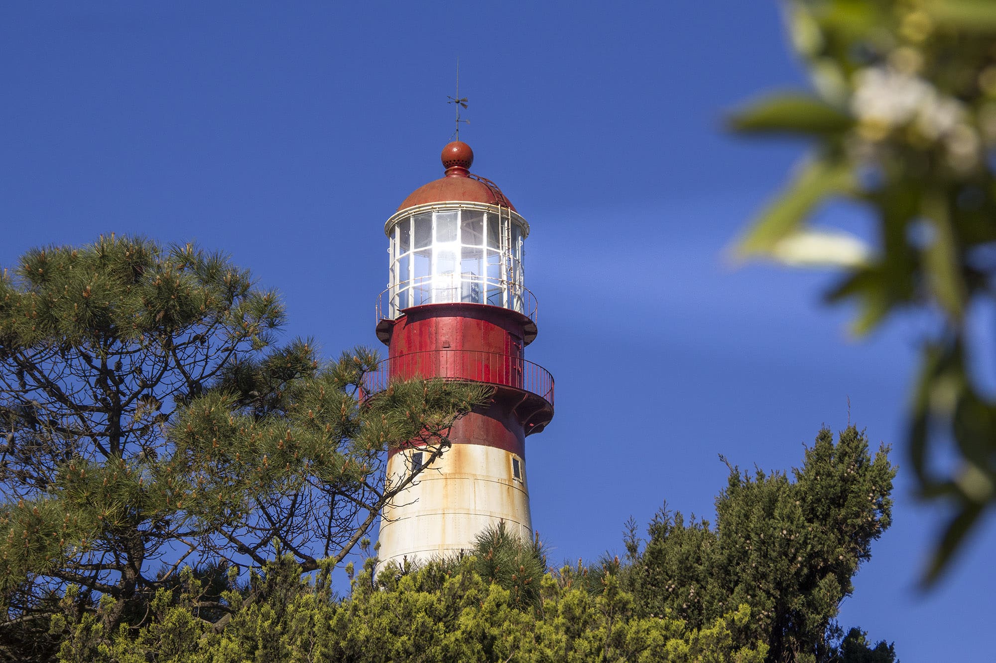 Regresan las actividades artísticas en el Faro de la Memoria 1 IMG 1173 FARO