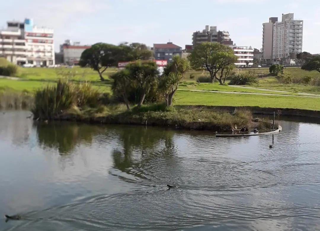 Llaman a licitación para la creación del Parque Ambiental en Punta Mogotes 1 Laguna