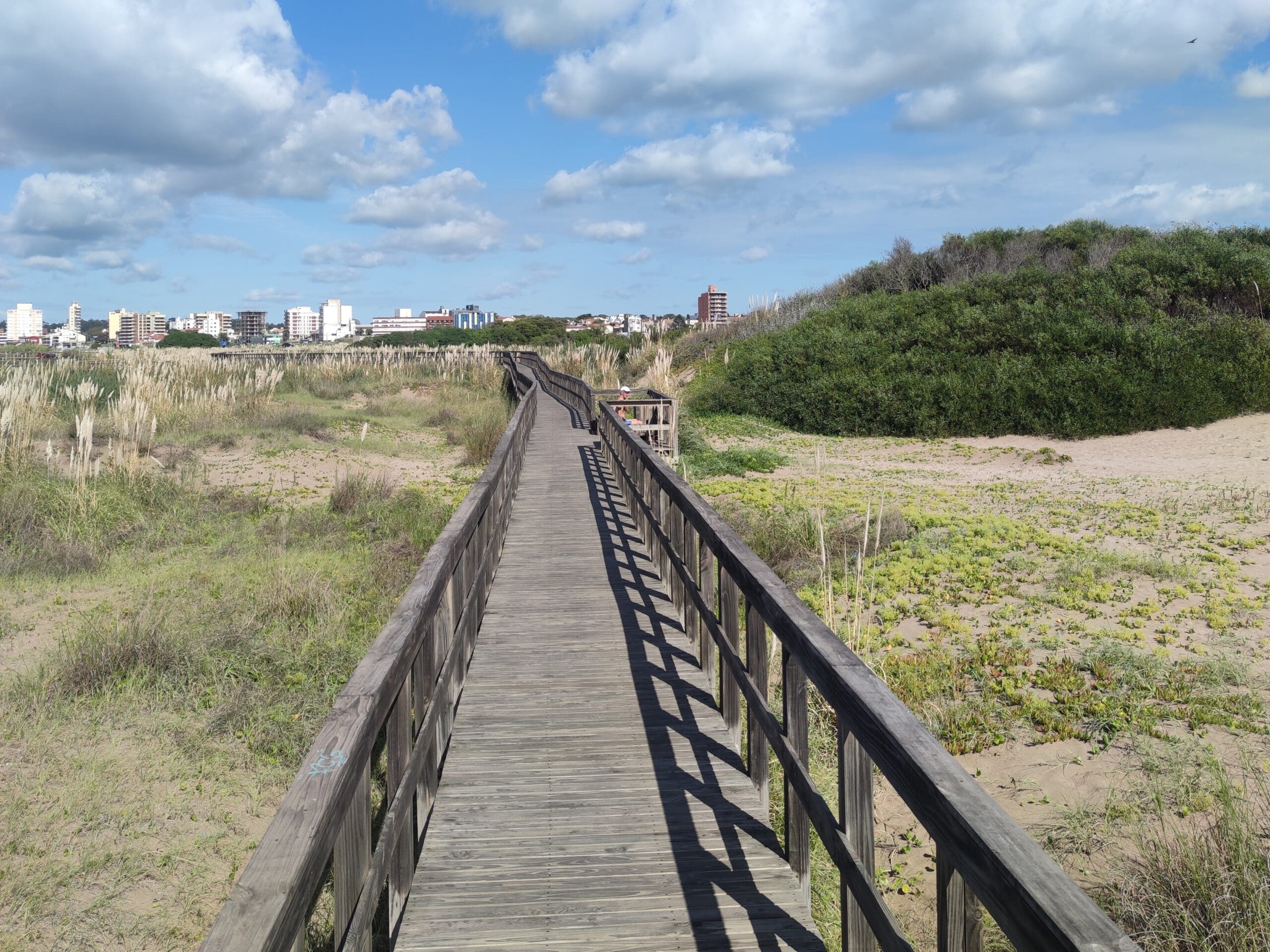 Mar del Plata tiene un increíble paseo turístico en la Reserva Natural del Puerto