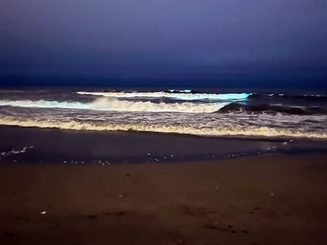 Mar del Plata sorprende con olas fluorescentes gracias a los dinoflagelados 1 azules