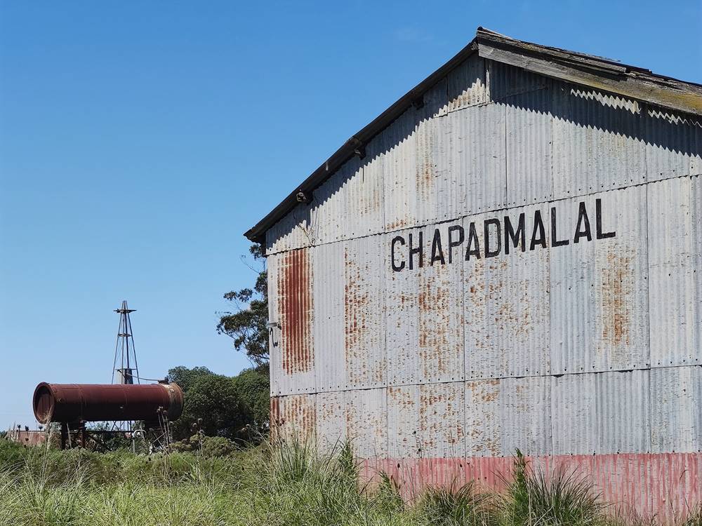 La vuelta del tren a Estación Chapadmalal: una lucha por el transporte público y la economía local 1 1635440604968 01