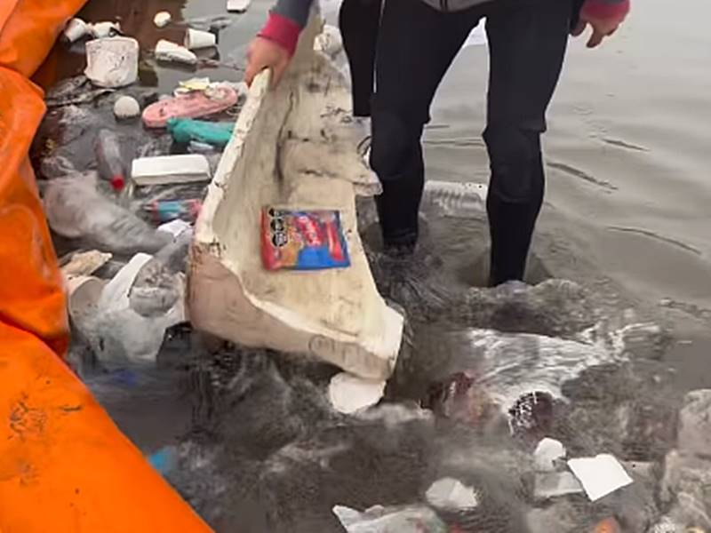 Cuidado Ambiental: ONG de Mar del Plata colocó barrera de contención en la playa de Constitución y la Costa