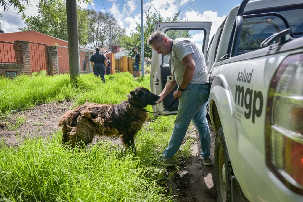 Salvan a 125 animales víctimas de maltrato y abandono en Mar del Plata 1 WhatsApp Image 2023 07 25 at 08.43.58