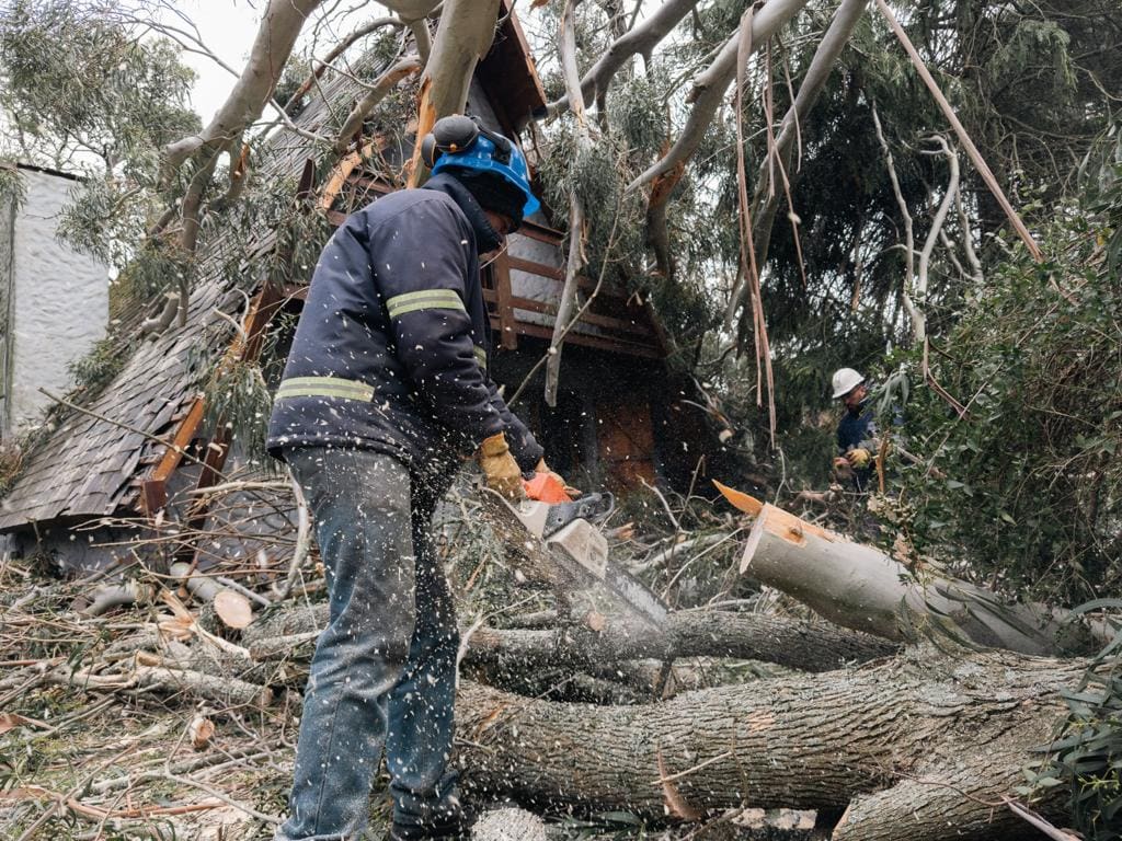 Después del fuerte temporal: ¿Cómo estará el clima en Mar del Plata? 1 Fotos MGP El Municipio intervino en mas de 80 situaciones por el alerta meteorologico 2