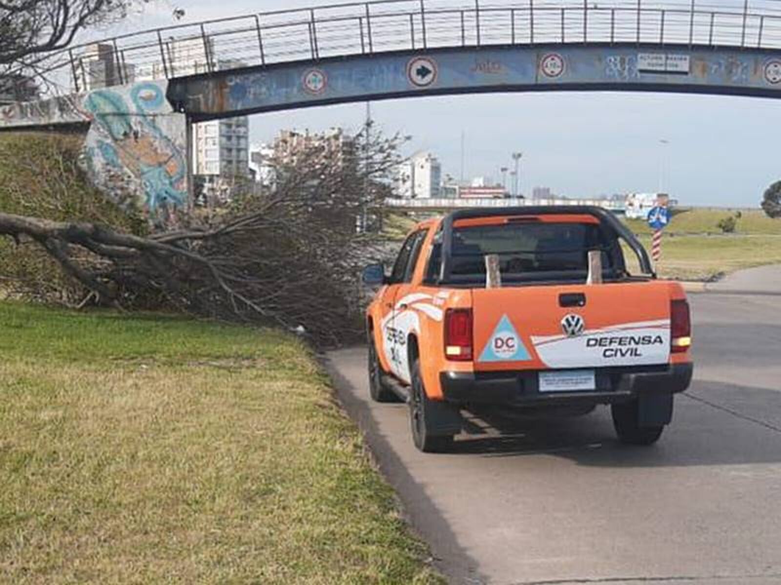 Mar del Plata: Fuertes vientos arrasan la ciudad dejando emergencias en su paso