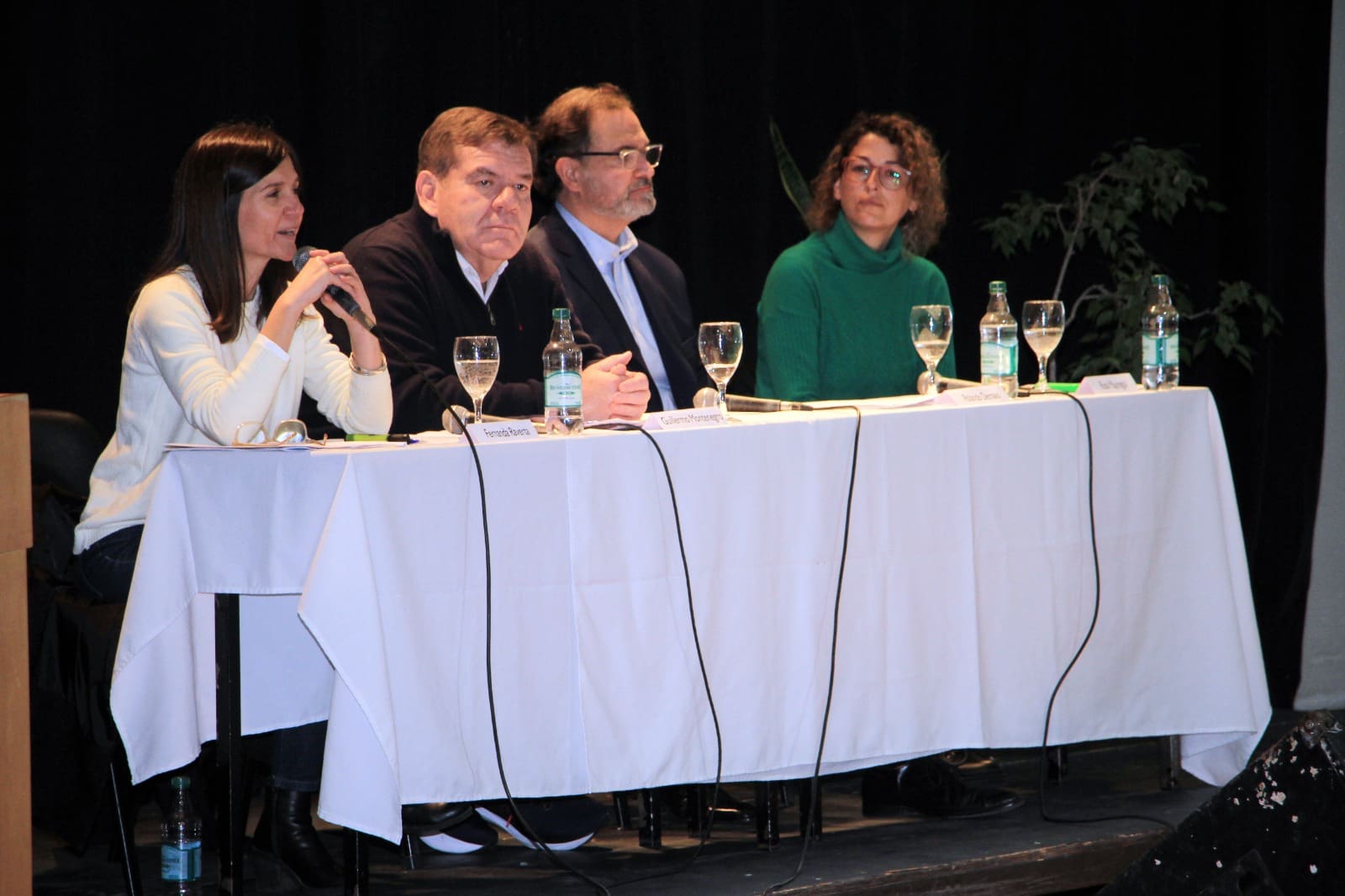 ¿Qué proponen los candidatos a intendente de Mar del Plata? Esperando el debate presidencial