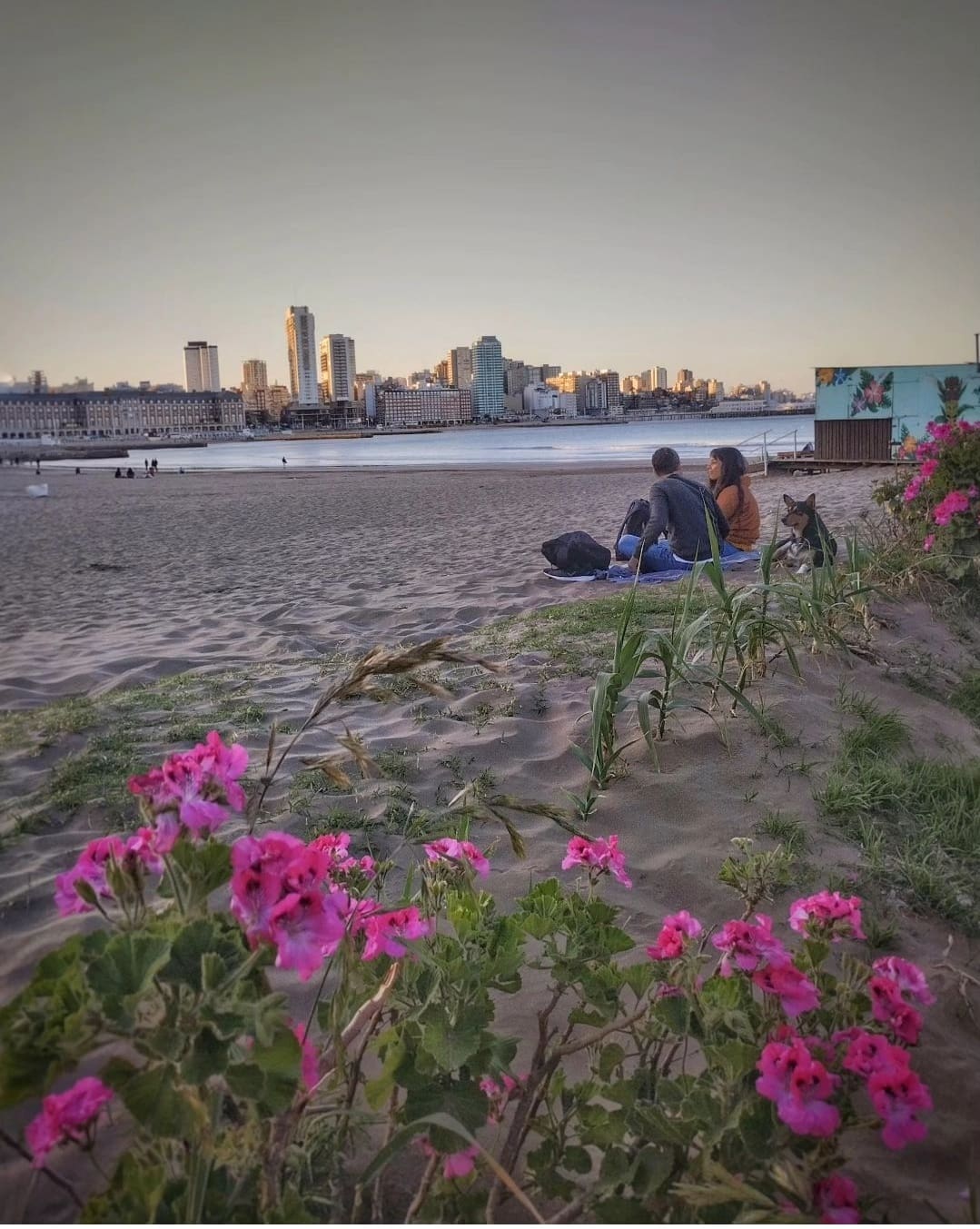 Se esperan días de calor en Mar del Plata 1 Screenshot 2023 11 23 20 13 36 786 com.instagram.android 01