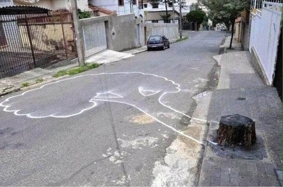 Una impactante escena del crimen: la foto viral que resalta la importancia de los árboles en las ciudades 1 escena