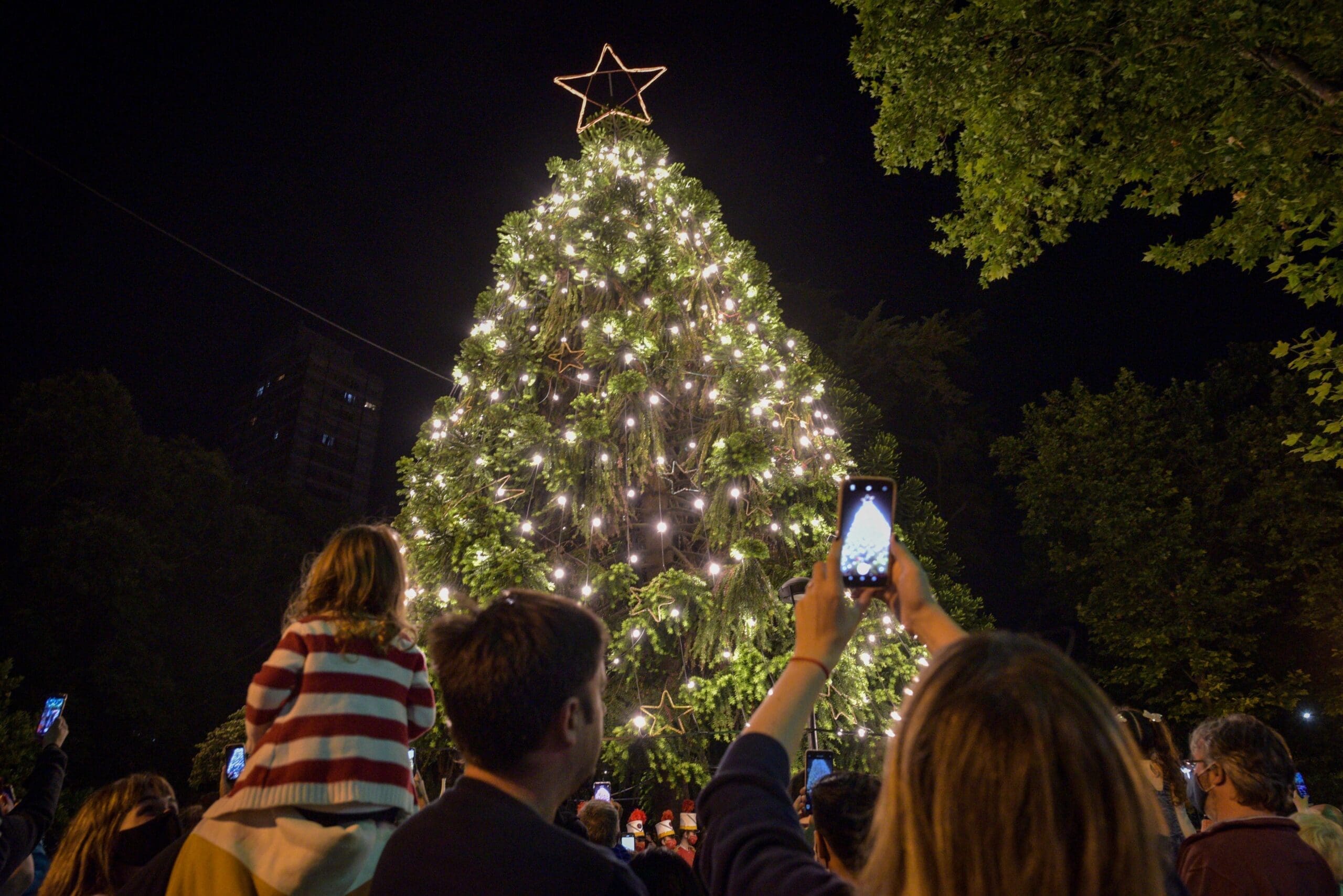 La esperanza de un "milagro climático de navidad": Mar del Plata anhela una Nochebuena sin tormentas 1 arbol scaled