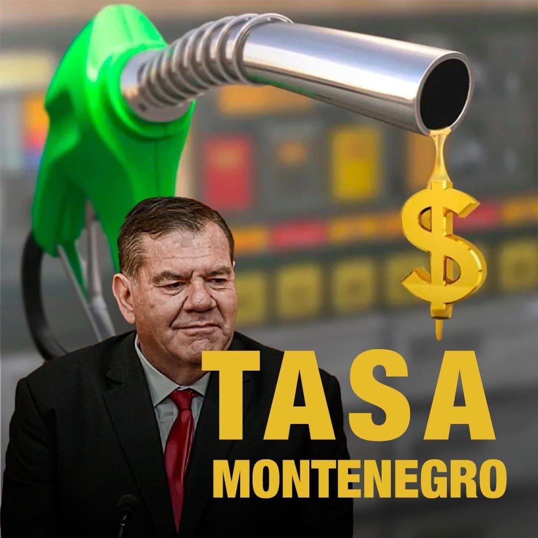 Preocupación: En Mar del Plata nace la "Tasa Montenegro" 1 tasaok