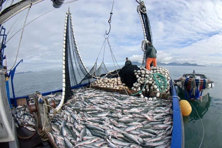 “Con la Pesca NO: Milei busca rematar la industria Nacional” 1 WhatsApp Image 2024 01 04 at 12.10.49 AM 1