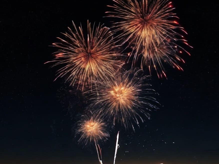 ¡Feliz año nuevo! Mar del Plata recibió el 2024 con una espectacular celebración en la costa 1 fuegos