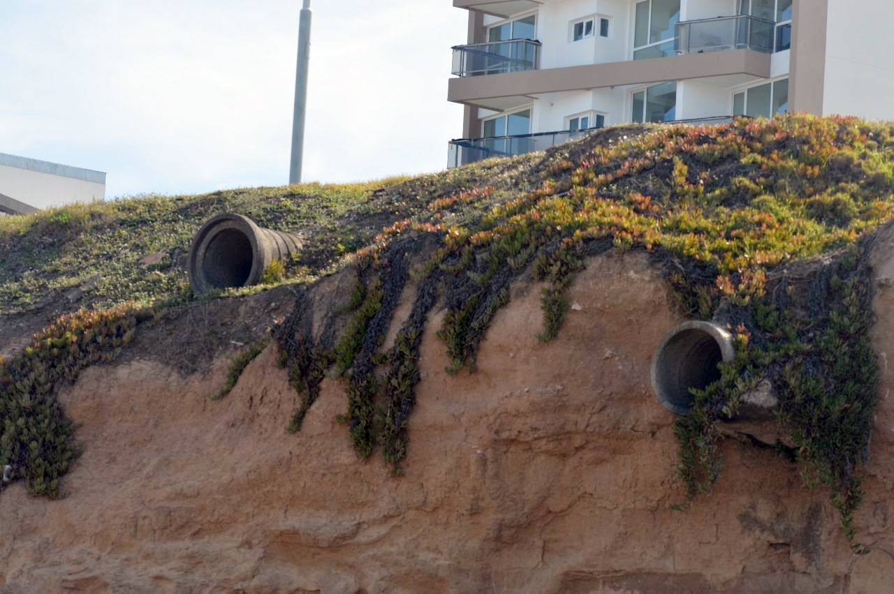 Buscan proteger en Mar del Plata la playa «La 40» de la contaminación y el deterioro
