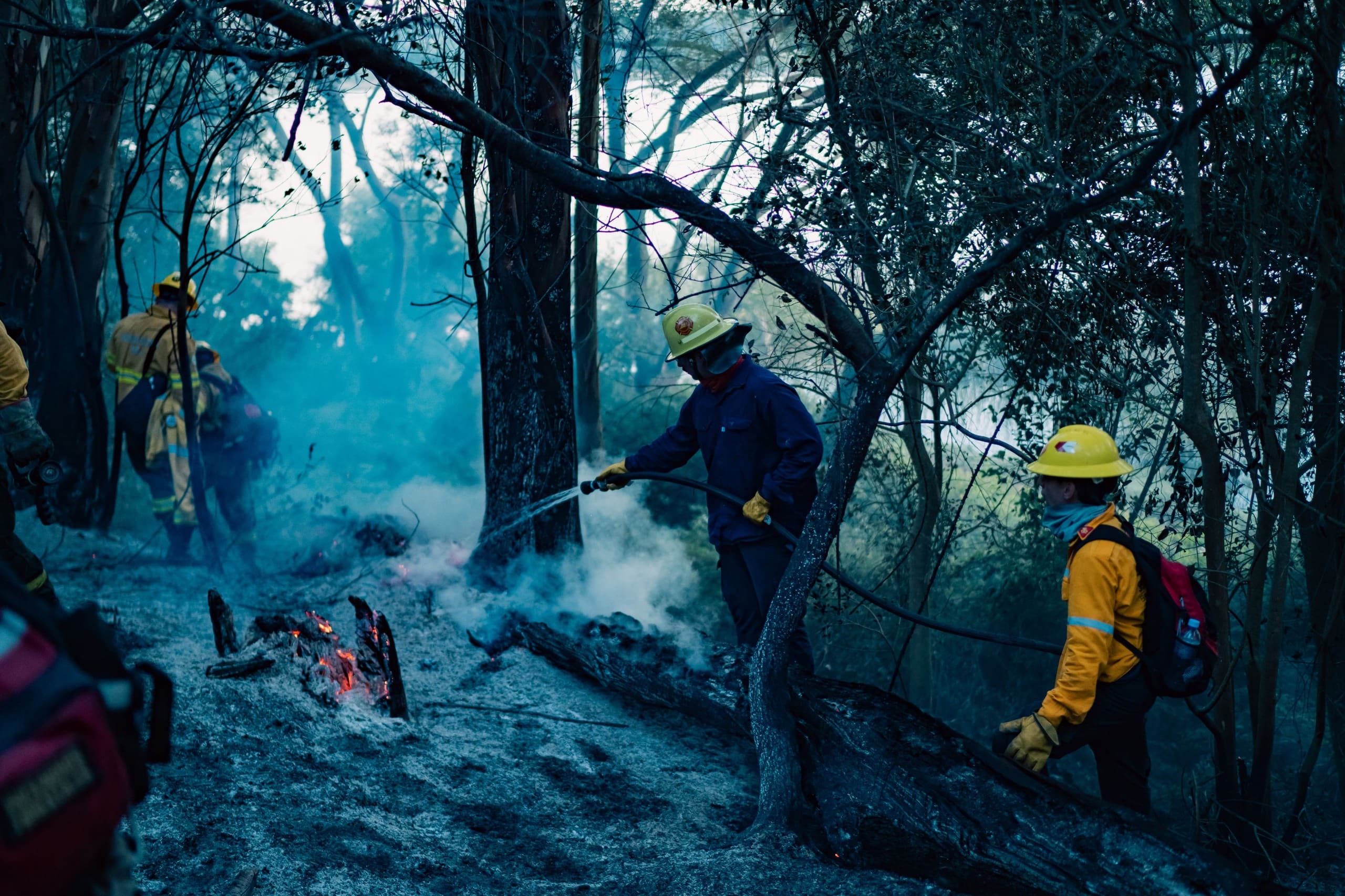Un impactante incendio forestal en Laguna de Los Padres afectó 16 hectáreas