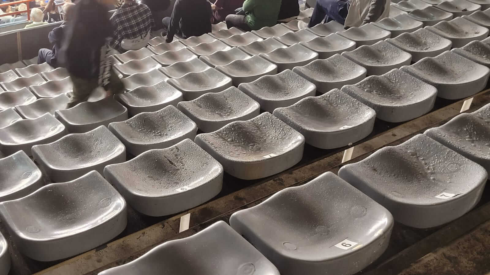 Estado lamentable del polideportivo en Mar del Plata y dudas sobre su pronta reparación 1 goteras