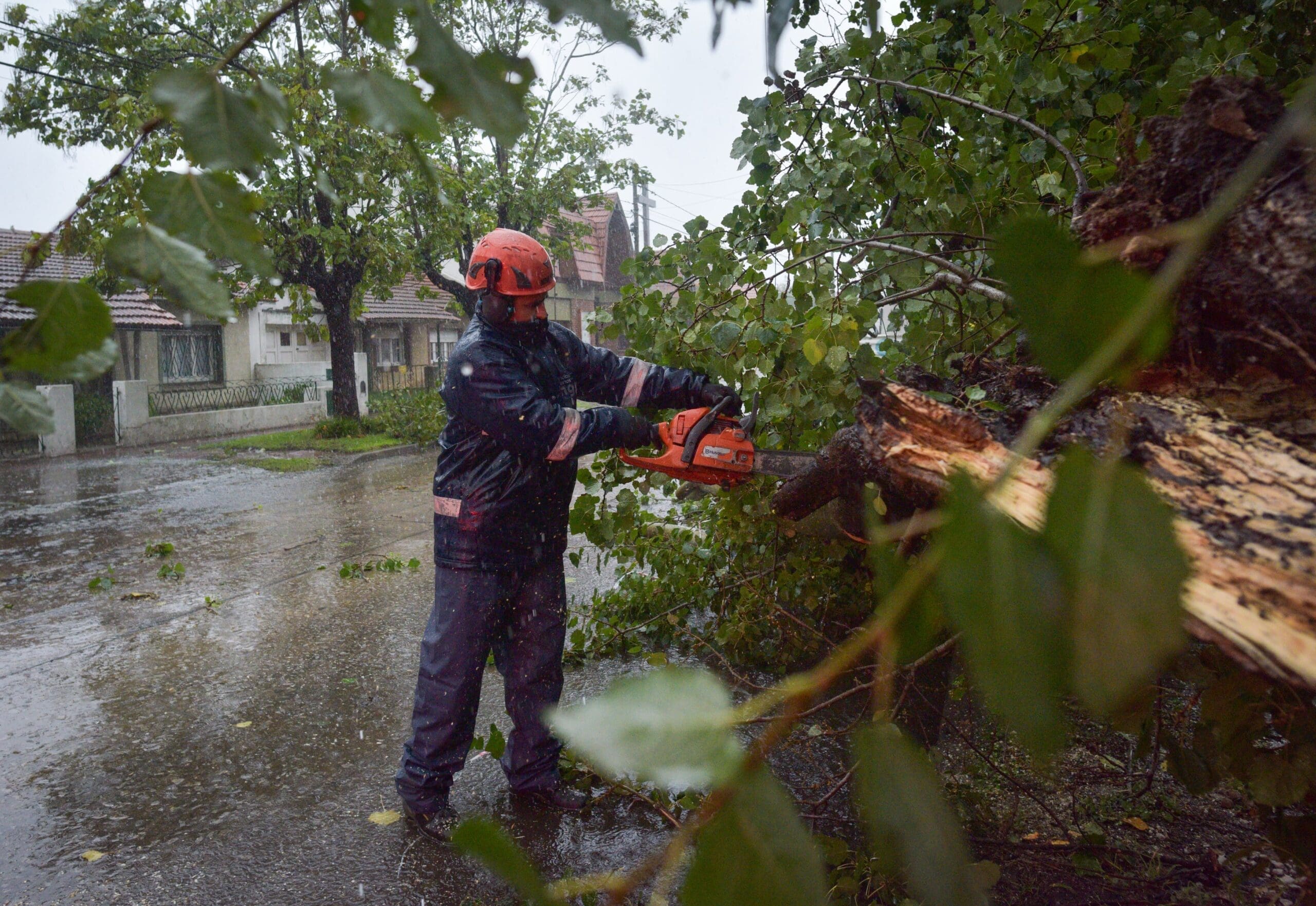 Alerta en Mar del Plata: Vientos intensos y fuertes lluvias causan daños en la ciudad 1 WhatsApp Image 2024 04 15 at 11.59.28 AM scaled