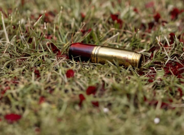 plano corto de un casquillo de bala sobre el pasto manchado con sangre 2