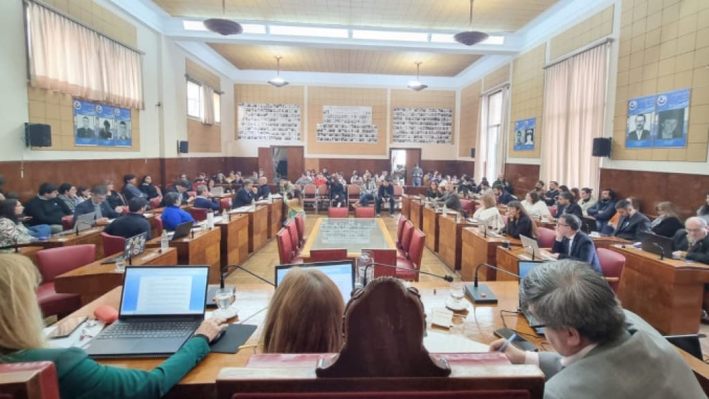 Defensoría del Pueblo en General Pueyrredon: ¡Conocé a los 28 candidatos que buscan proteger tus derechos! 1 HCD
