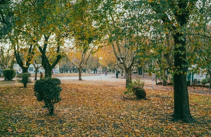 Screenshot 2024 05 30 16 41 25 210 com.whatsapp