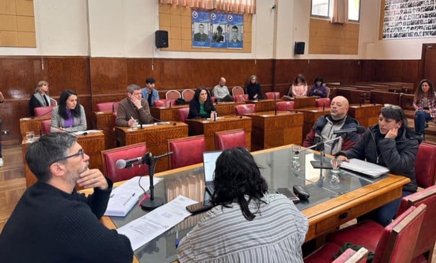 Exigen respuestas por falta de medicamentos oncológicos en Mar del Plata 1 comision salud 1
