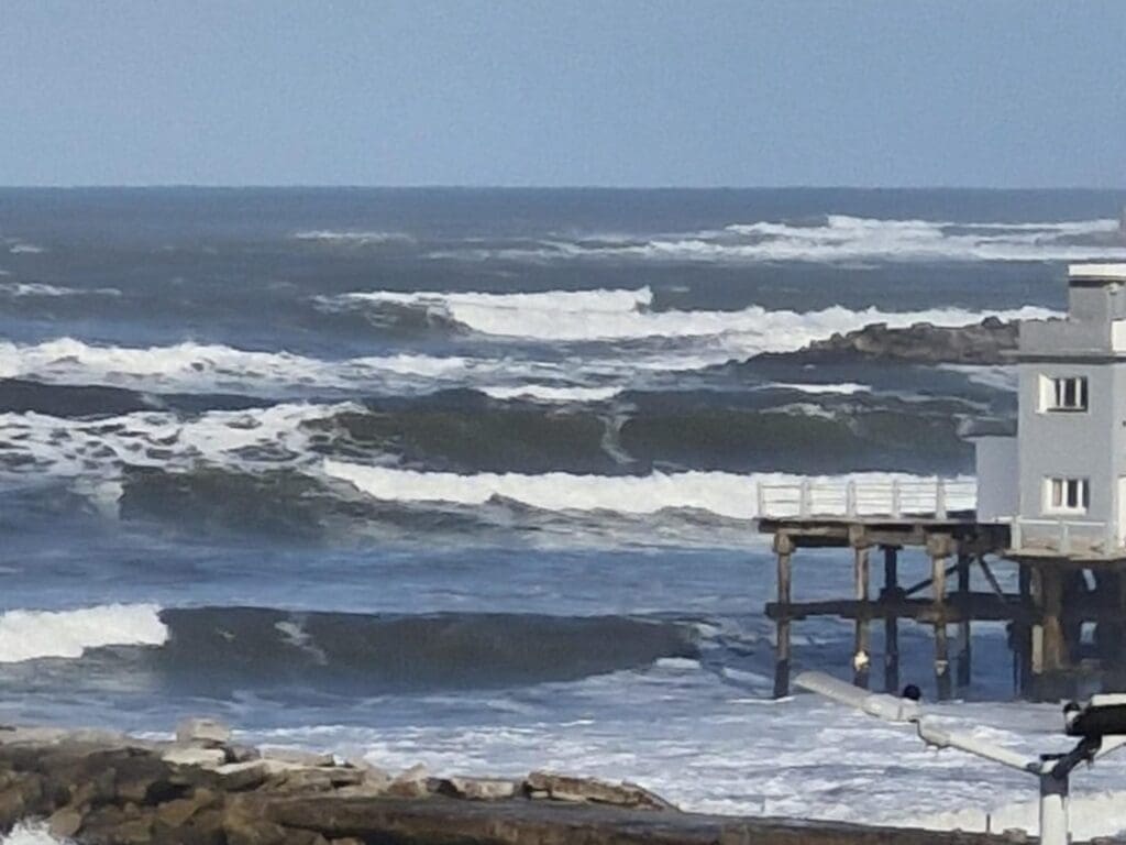 Guardavidas de Mar del Plata advierten sobre los peligros de nadar en mar abierto 1 1723649225948