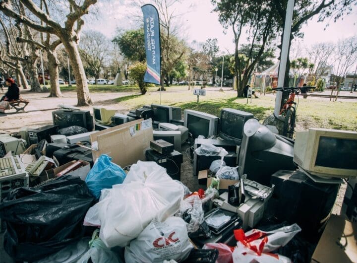 WhatsApp Image 2024 07 31 at 4.54.42 PM