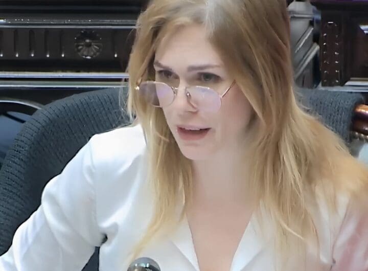 La diputada Lilia Lemoine contó que fue abusada hace 18 años: "Mi violador sigue libre" 1 lemoine 1