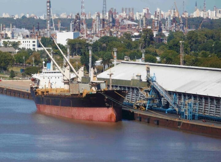 IMG 20241023 WA00582