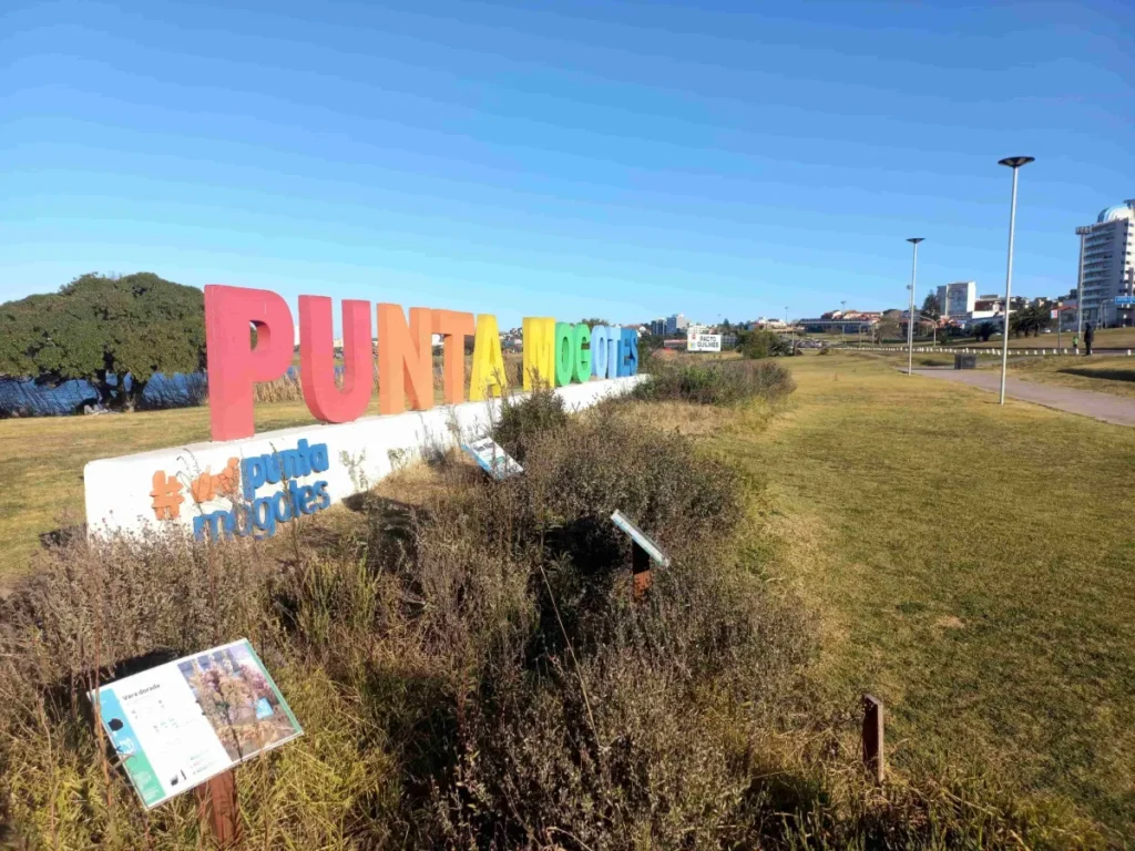 Mogotes min scaled 1