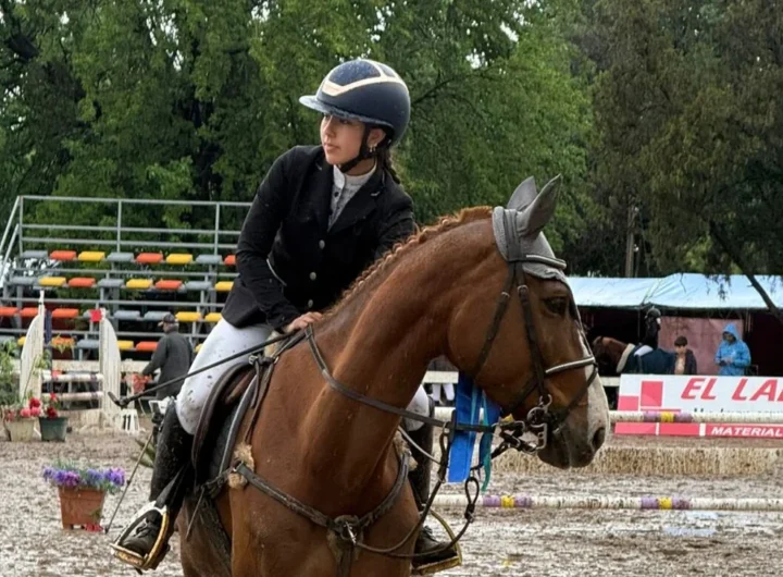 WhatsApp Image 2024 10 15 at 8