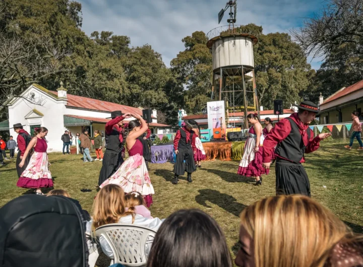 WhatsApp Image 2024 11 08 at 11