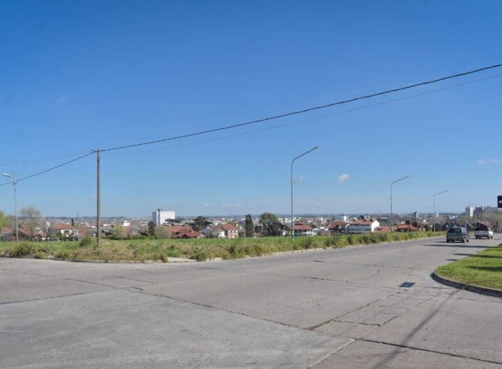 WhatsApp Image 2024 11 13 at 10.26.01 AM