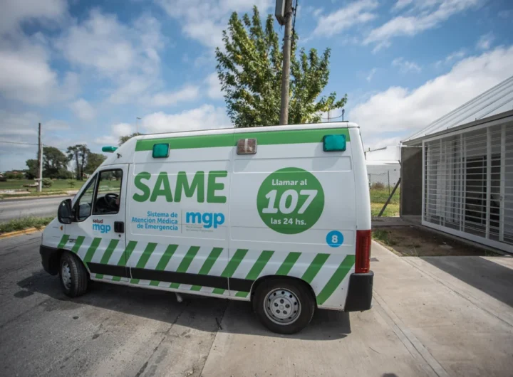 WhatsApp Image 2024 11 15 at 8